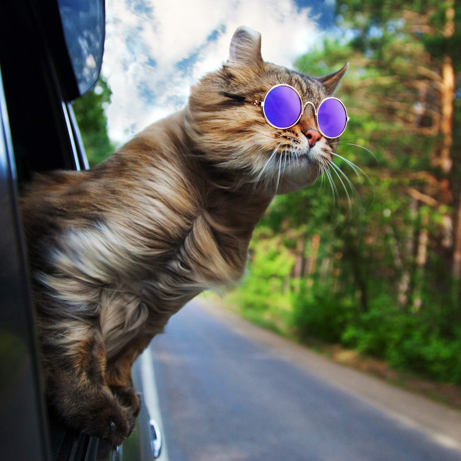 6 Pcs Cat Sunglasses Pet Glasses, Black and Mix Reflective Color