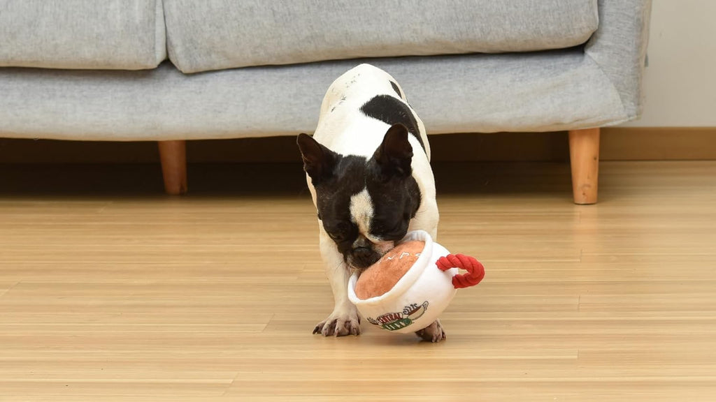 Friends TV Show Central Perk Coffee Cup Plush Dog Toy