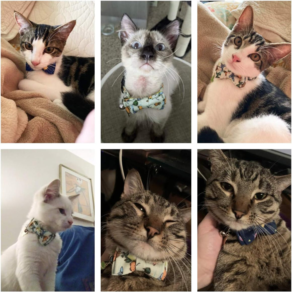 Dinosaur Boy Cat Collar Breakaway with Bow Tie Bell, 2 Pack