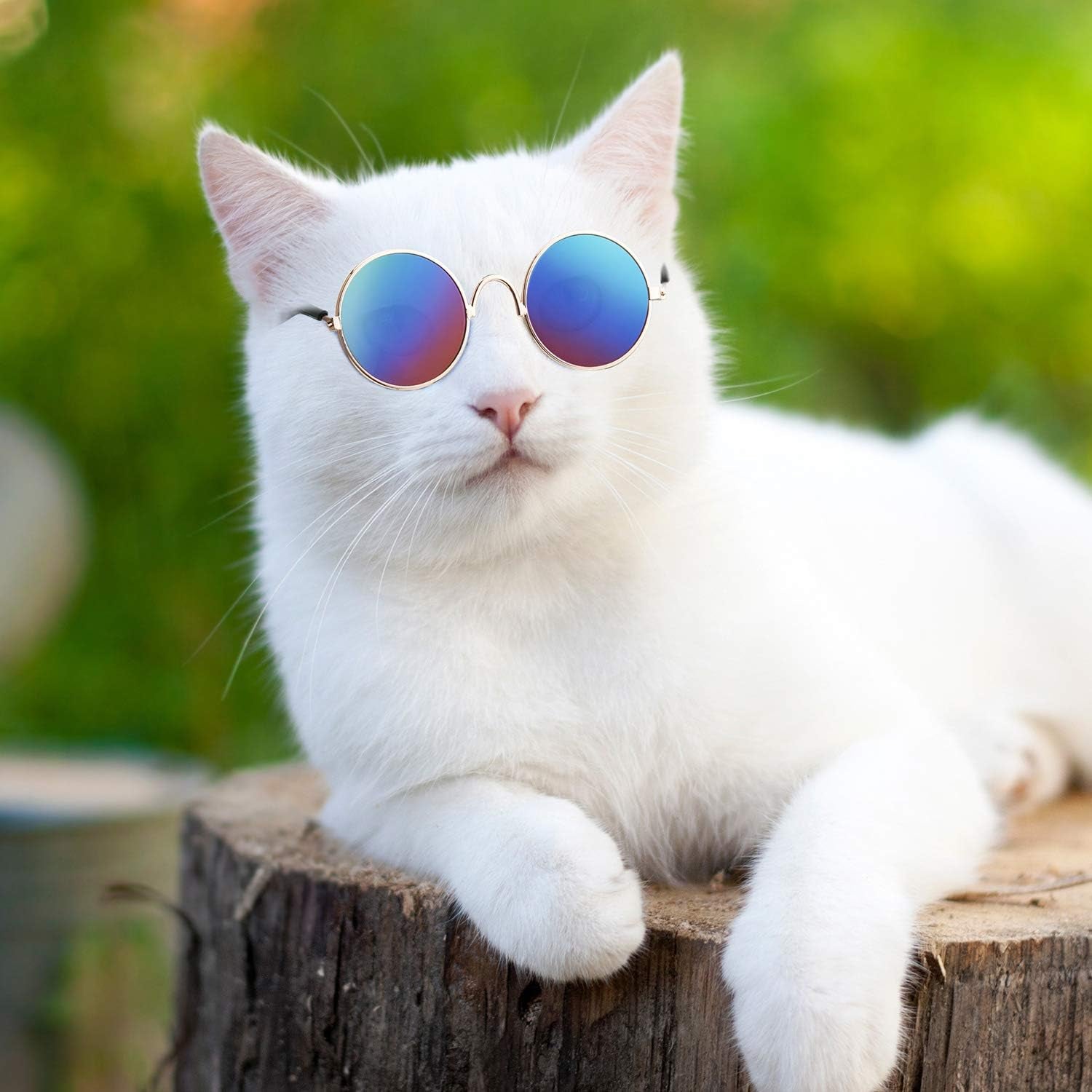 6 Pcs Cat Sunglasses Pet Glasses, Black and Mix Reflective Color