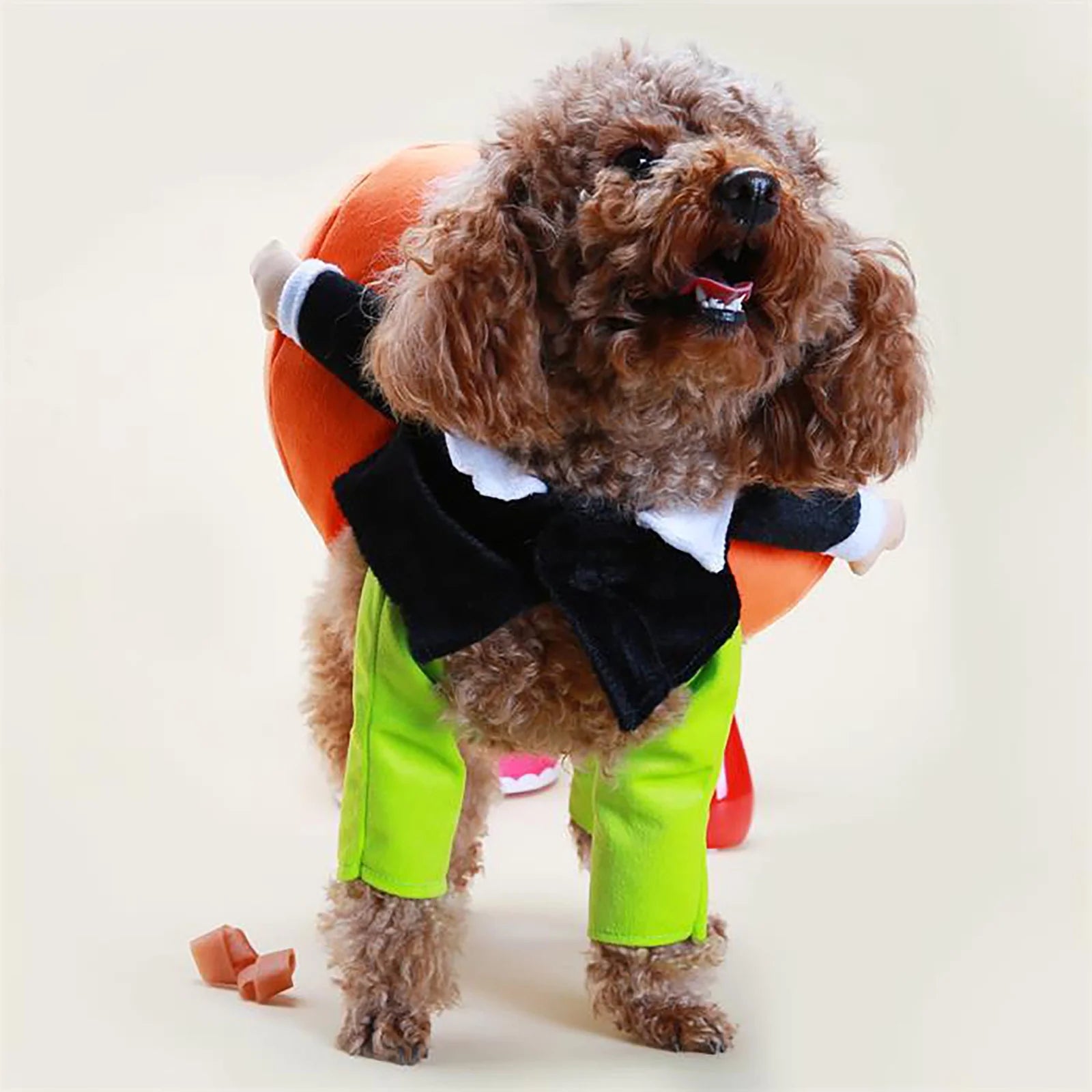 TEPSMF Soft Polyester Halloween Pumpkin Witch Doll Dog Costume, Orange, Medium