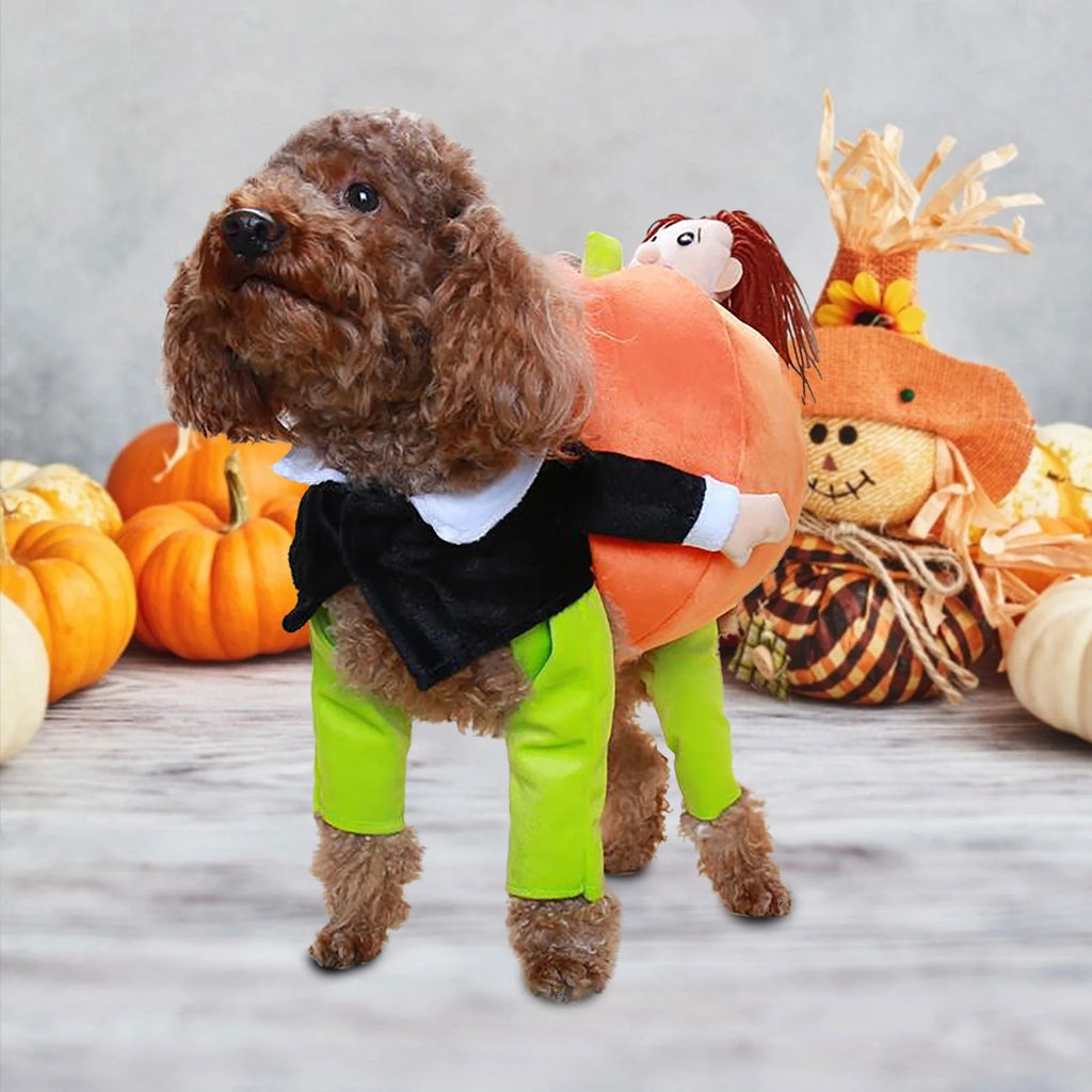 TEPSMF Soft Polyester Halloween Pumpkin Witch Doll Dog Costume, Orange, Medium