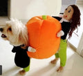 TEPSMF Soft Polyester Halloween Pumpkin Witch Doll Dog Costume, Orange, Medium