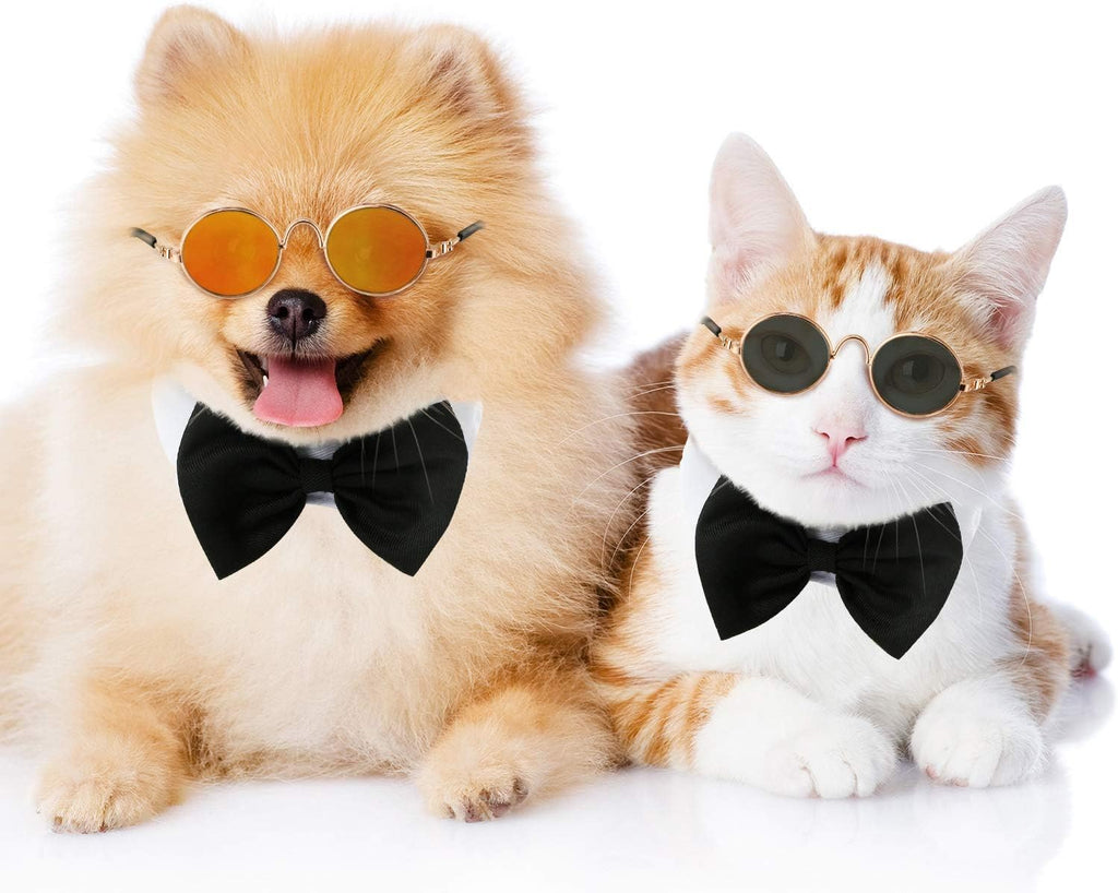 6 Pcs Cat Sunglasses Pet Glasses, Black and Mix Reflective Color