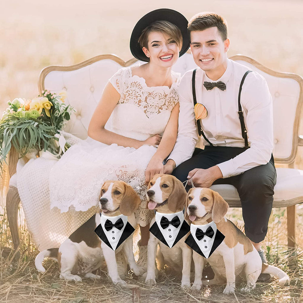 Dog Tuxedo Collar with Bow Tie, Wedding Dog Bandana, Black, Large